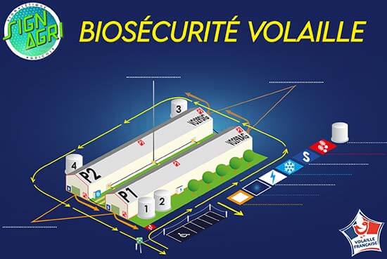 Panneau de biosécurité volaille
